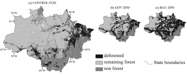 Study Declares Agriculture In Deforested Amazon Will Fail