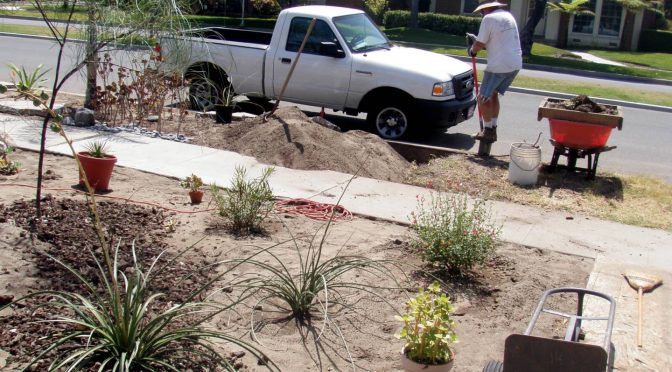 Irrigation Kills? Landscaping For Drought Can Make Some Regions More Livable