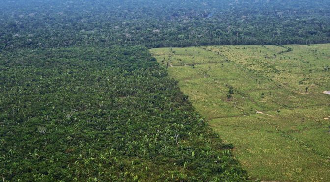 Save The Rain Forest? Record Years For Tropical Forest Loss