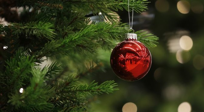 Soon Your Old Christmas Tree Might Be Transformed Into An Array Of Products