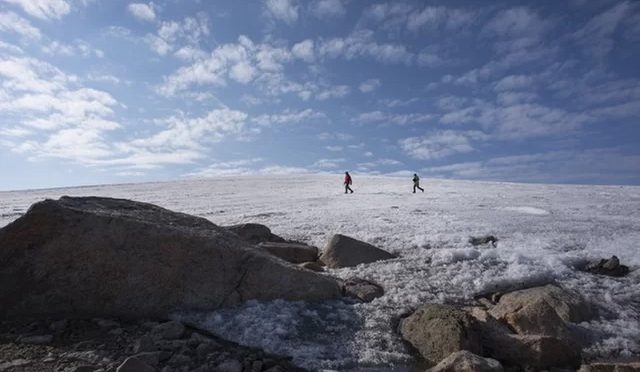 Retreating Glaciers Reveal Long Buried Plant Communities