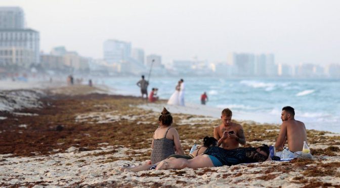 Climate Change And Seaweed Ruining Mexico’s Hottest Vacation Beaches