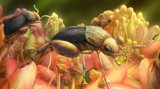 The First Pollinators Evolved At Least 50million Years Earlier Than Anyone Thought