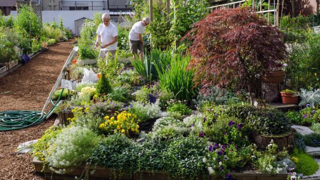 Is Gardening The Secret To A Long Life?