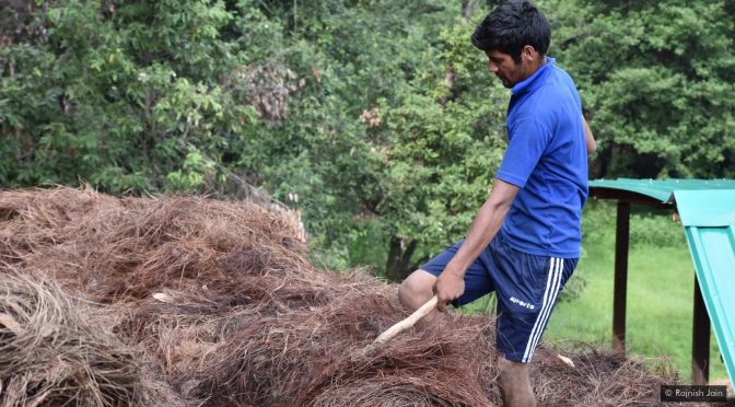 How An Innovative Use Of Local Materials Reduced Forest Fires And Powered Villages
