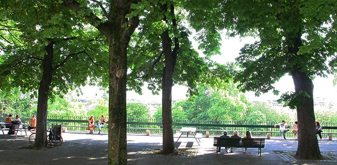 Urban Trees, Whether Native Or Introduced Species, Provide The Same Ecological And Social Services