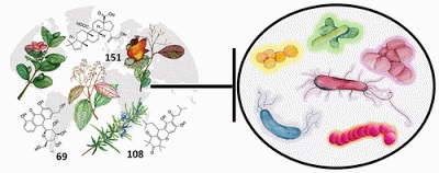 Natural Plant Products With Antibacterial Activity: A First And Much Needed Comprehensive Review Published
