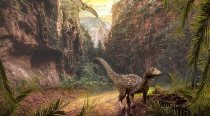 Could Dinosaurs Have Been Important At Dispersing Seed?