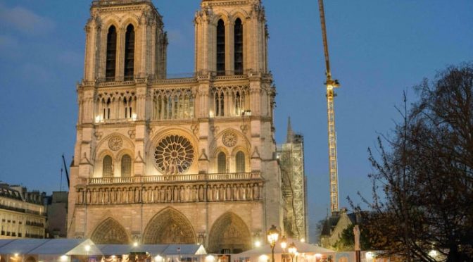 The Trees That Will Let Notre Dame Cathedral Rise Again